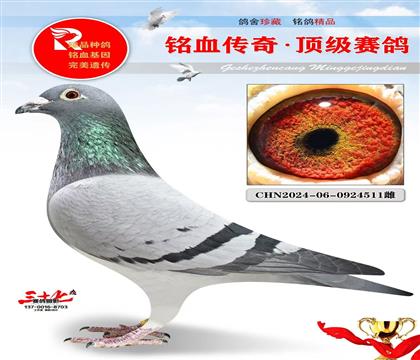 ����ֱ�ӡ�ֱŮ