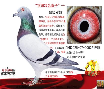 ������29ֱ�ӣ����人�������73��ֱŮ928��