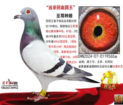 �Ľ��վƶ�49����87���̣����Ĺظ����Ǿ��