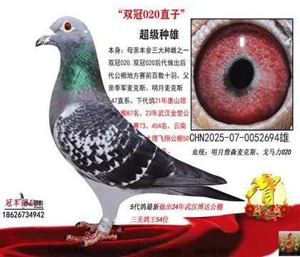 ��˫��020ֱ�ӣ�������ͭ��С��94��ƽ���ƣ�