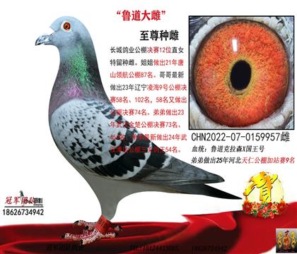 ��ȫ����³������������ͭ��94���˾ˣ�