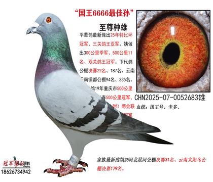 �����ʹ�һһɽ�������Ƽ����ھ�ǰ�����壩