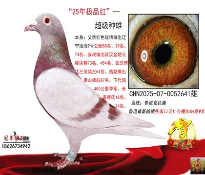 �����ۻ�Ѫֱ�ӣ��ͻ��¹���񽱸�ĸ�ף�