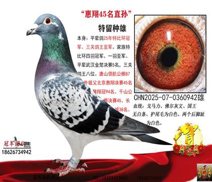 �Ļ����������ͽ�ĸ118����