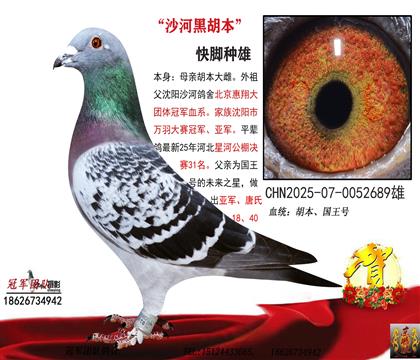 �����ʹ�һ���������ھ�Ѫϵ���͹��ｱ��)