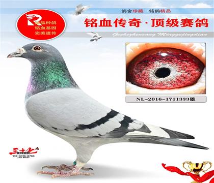 ���ٺš������λ����