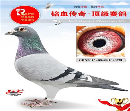 ��������������ҵ