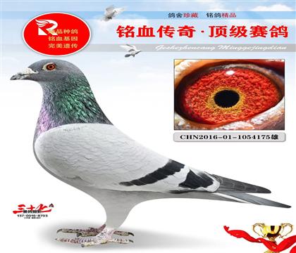 �°���ƥ��ֱ��