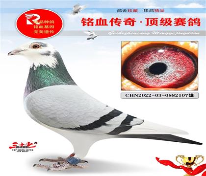 ������ҵ�����ض�