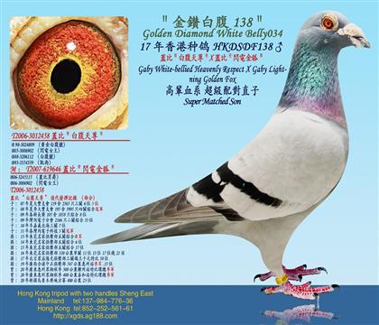 17����۷N��HKDSDF�w�ȣ��׸�����X�w�ȣ��W늽����