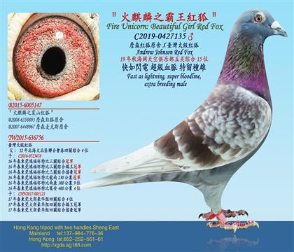 ղɭ�t��ԭ��X�_��̫���t��/����ۺ�15λ