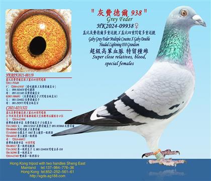 �ǱȻ��M� ����ؽ��HX�Ǳ������W늶��ؽ��H