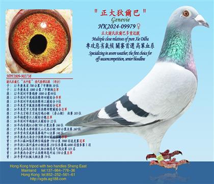 �����x����Ҡ��Ͷ��ؽ��H