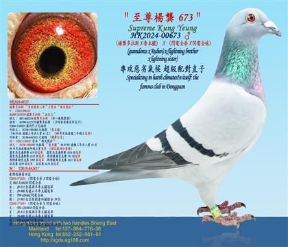 ����������˹X����̖��X���W�ȫ��X�W�ȫ�ã�