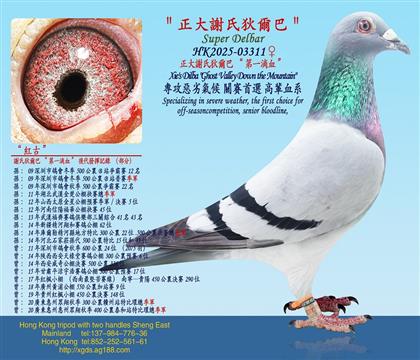 �����x����Ҡ��͡���һ�CѪ��