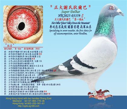 �����x����Ҡ��͡���һ�CѪ��