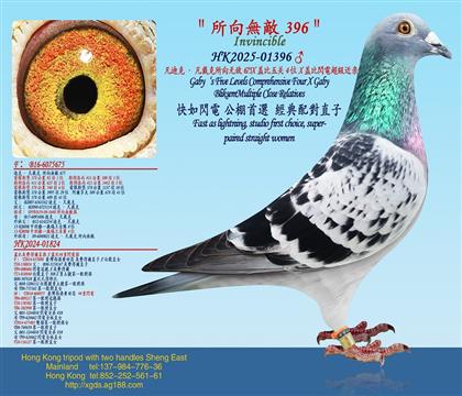 ���Ͽˡ������������޵�675X�w�Ȼ��M�à�ֱ�O