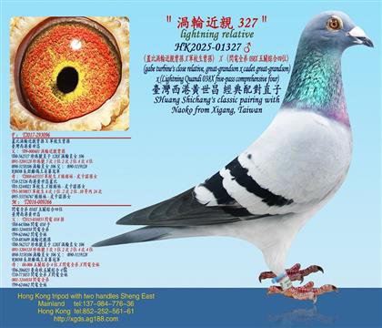 ���w�Ȝu݆���H���OX܊У�����O��X���W�ȫ��038X���P�C��