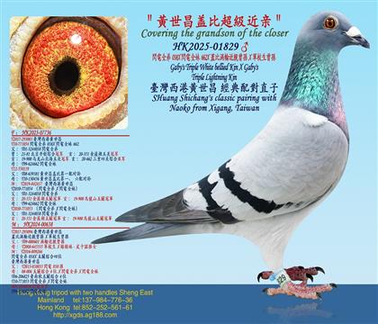 �W�ȫ��038X�W�ȫ��662X�w�Ȝu݆���H���OX܊У�����O