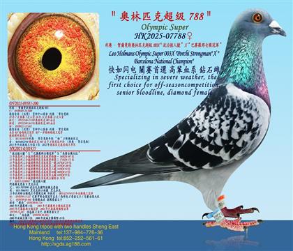 ���W���R����˹�W��ƥ�˳���003X�����Ώ���̖��X����ِ�_��