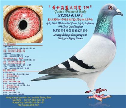 �w�����P�C��4λ����823X�w���W�038������Ů