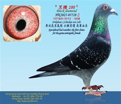 �����280��/˾��ɱ���X��˾�ϡ��T�R��