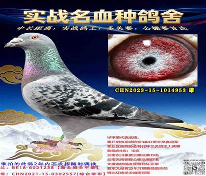 ���ؼ���ֱ��