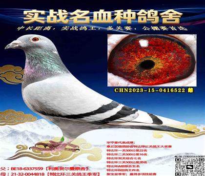 ɽ������