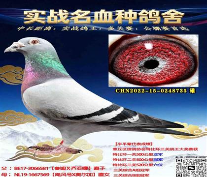 ������ƽ��