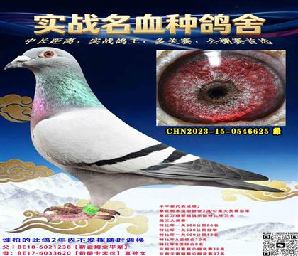 ���ҳ�����ķ