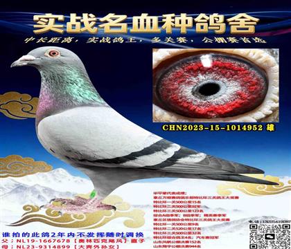 ����ƥ��쫷�ֱ��