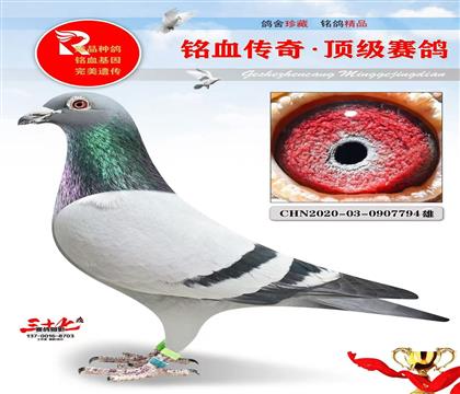 ������ҵ����������