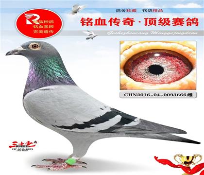 ��Ȫ����36��������5�ؼ���