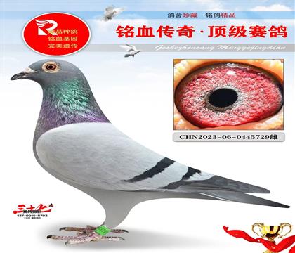 �ش������˵�����˹