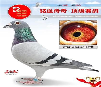 ������ղɭ������ǳ���