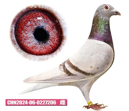 ���ǲ���-�ú칫��206