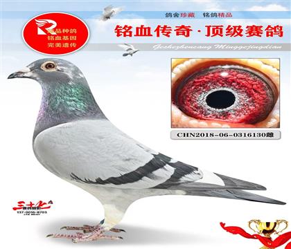 ���ٺ����ֱŮ