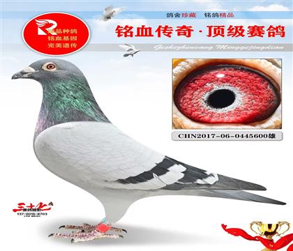 �180ֱ��ر�õ�һֻ