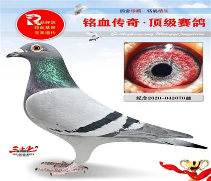 ���ٺŴ����Ӵ�