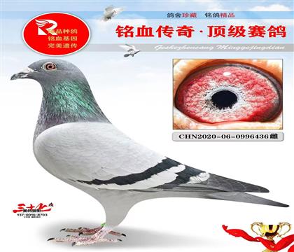 ���ٺ��Ӵ��������Ǿ�