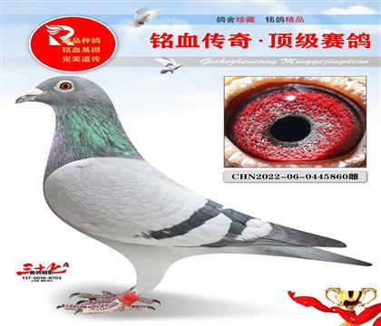 ����������Ů��Ѫ