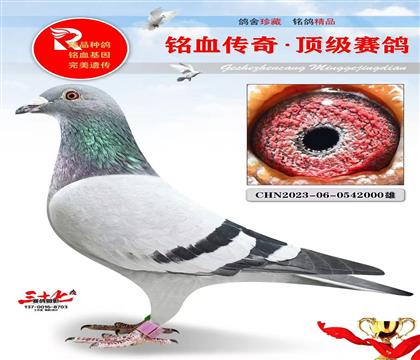 �ٷְ�ɣ��ʿ