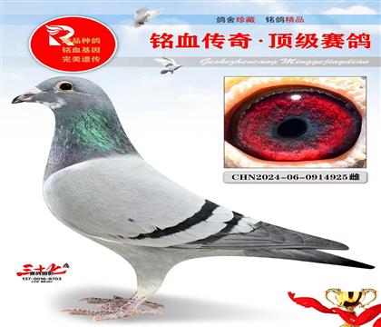 4����ھ�ƽ��