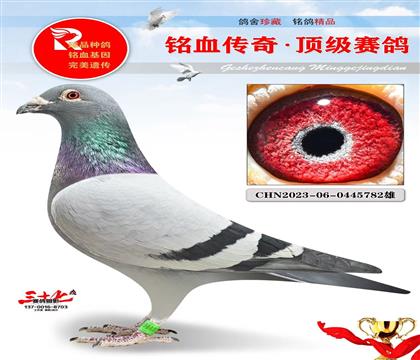 ���ٺš����ǲ���006