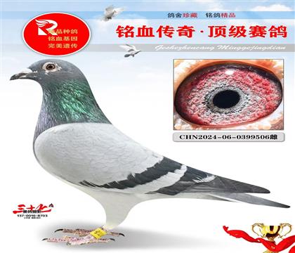 4����ھ�ƽ��