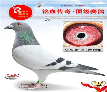 �����޵л�Ѫ