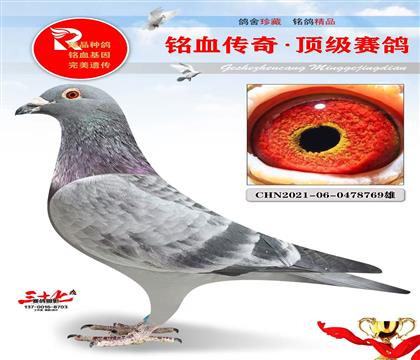 ղɭ���ۺš��˸�ǳ��Ƽ�