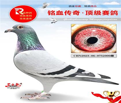 4����ھ�ƽ����������