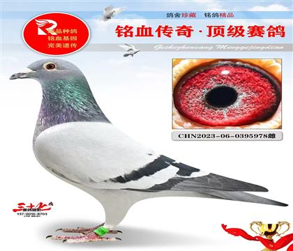 ���ٺš���������˹