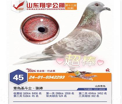 2024��ɽ����������45��